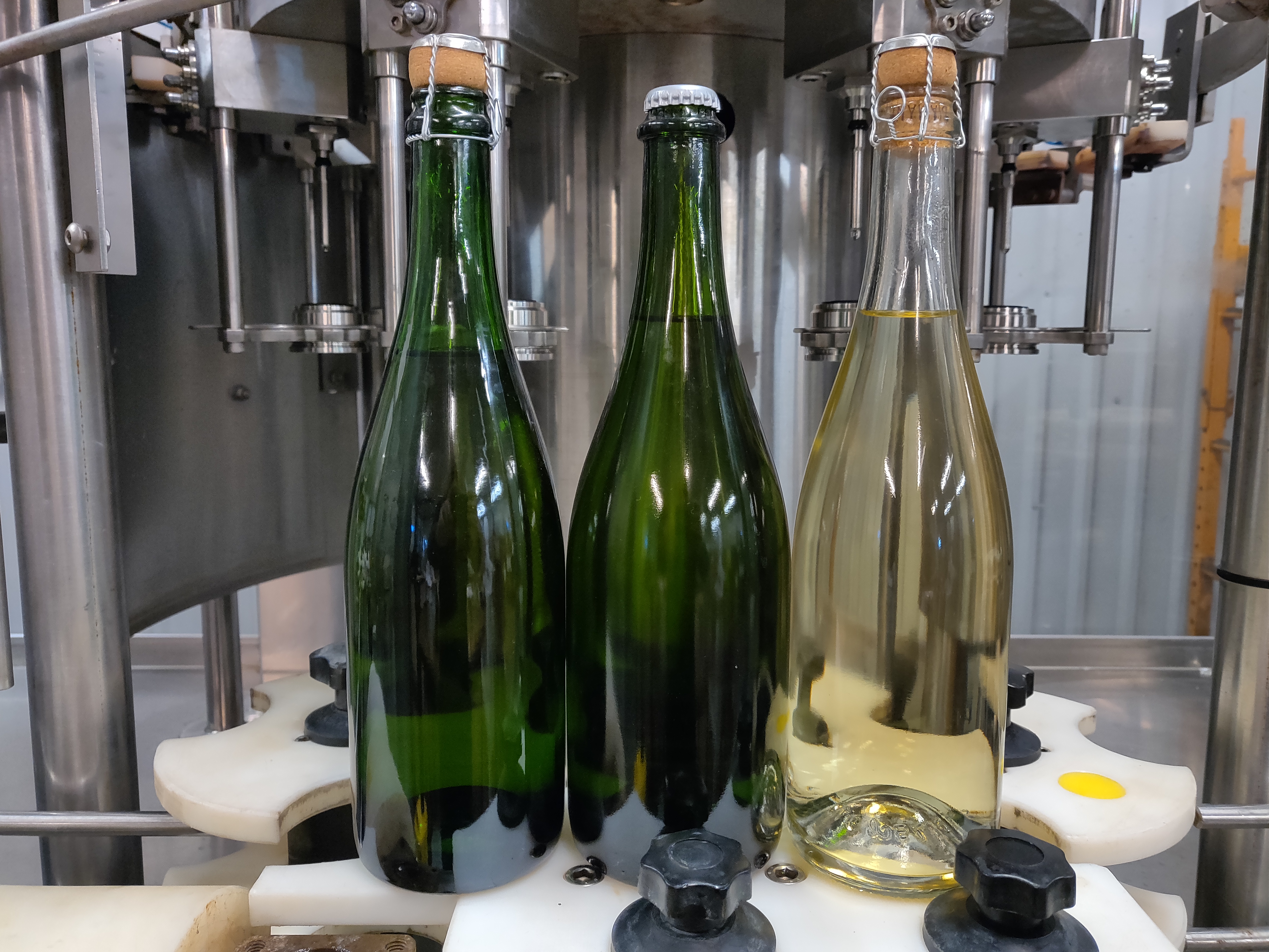 Carbonated Wine Bottling Service at Texas Custom Wine Works